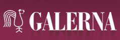 Logo Galerna